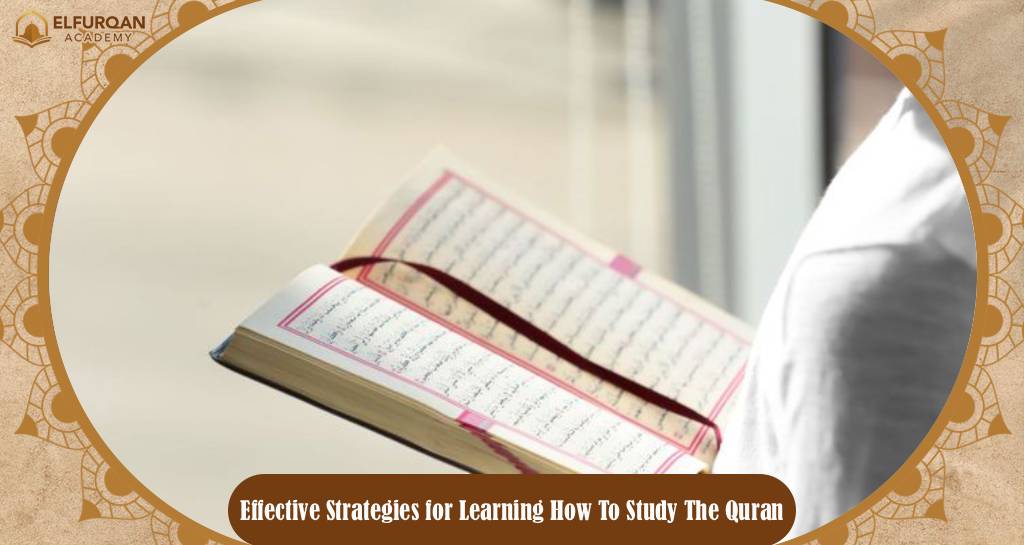 How To Study The Quran 